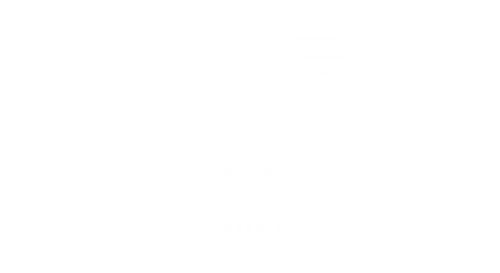 Stormcraft Studios